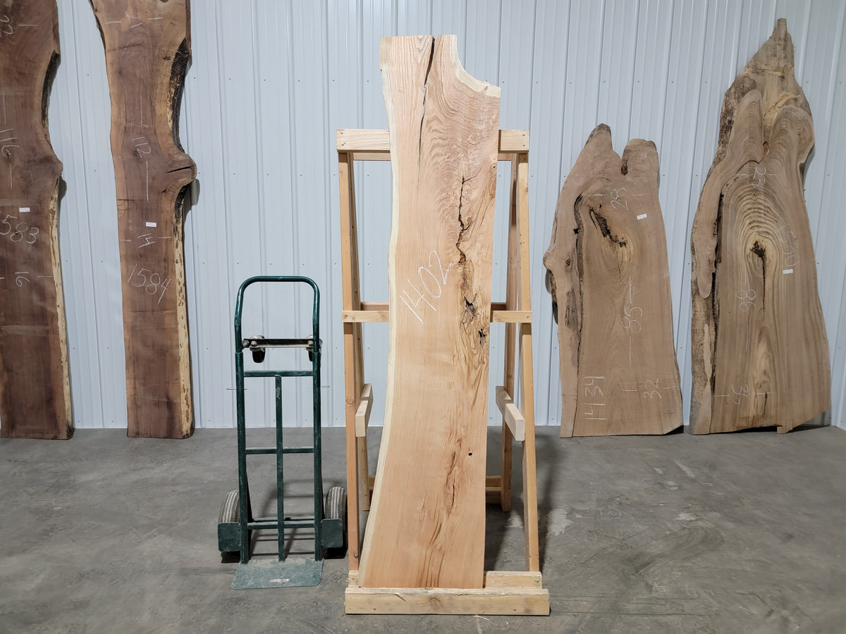 Honey Locust (1402) 84” L x 13-18” W x 2.25” T