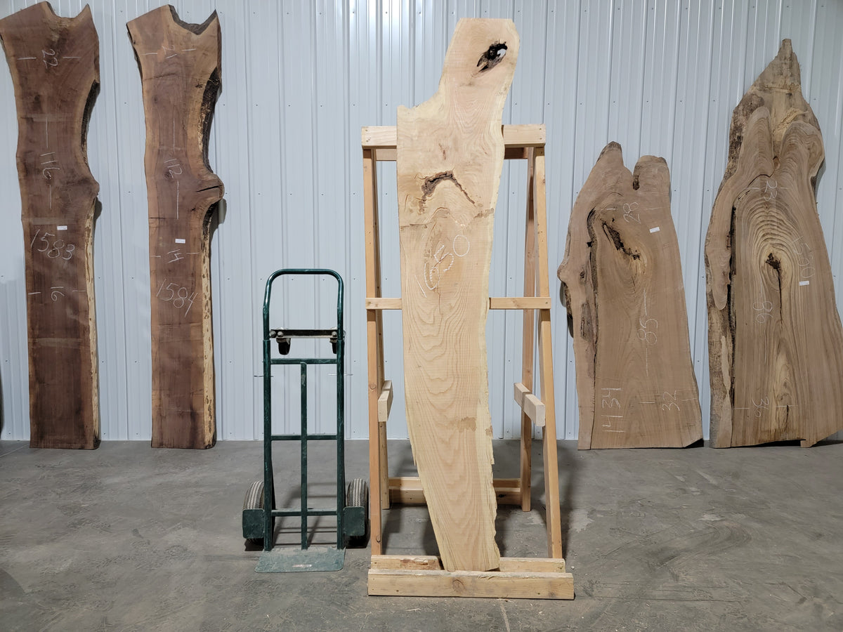 Honey Locust (1650) 87” L x 9-16” W x 1.75” T