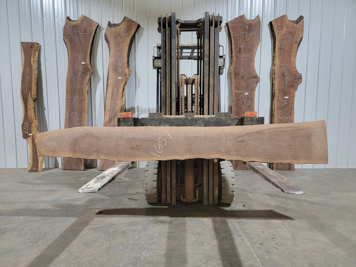 Black Walnut (1657) 108” L X 5-13” W X 2.25” T