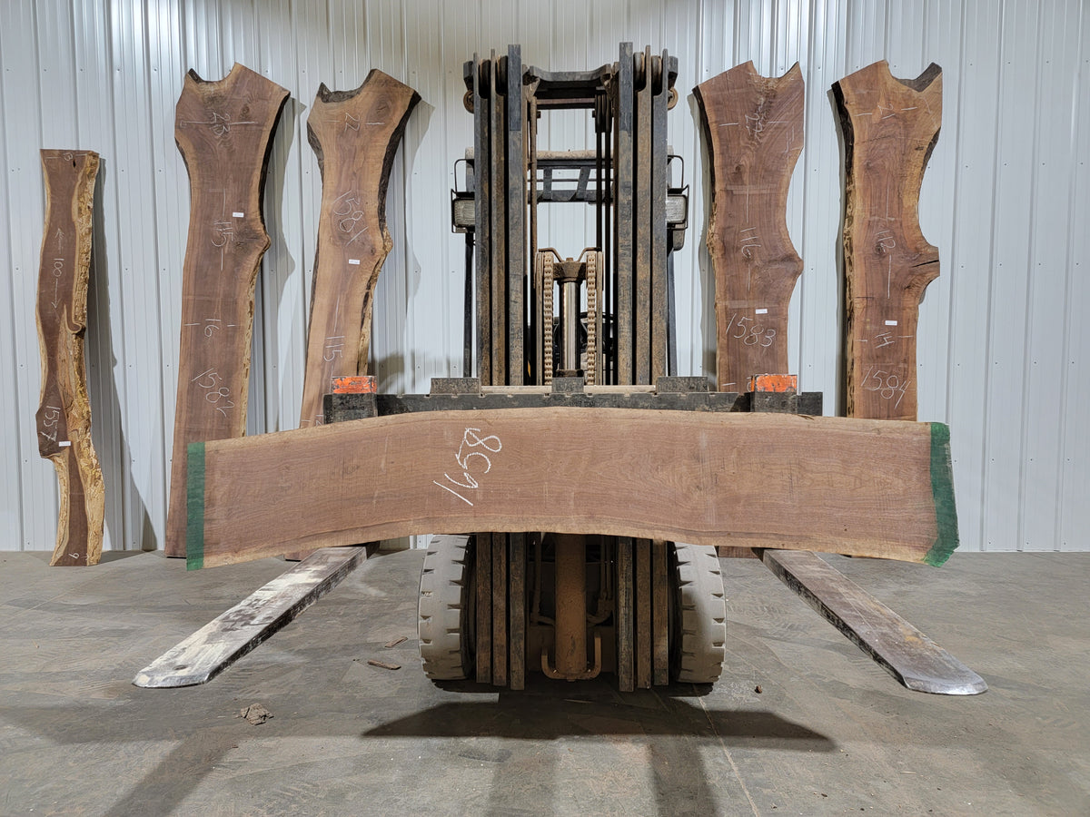 Black Walnut (1658) 84” L X 10-12” W X 2” T