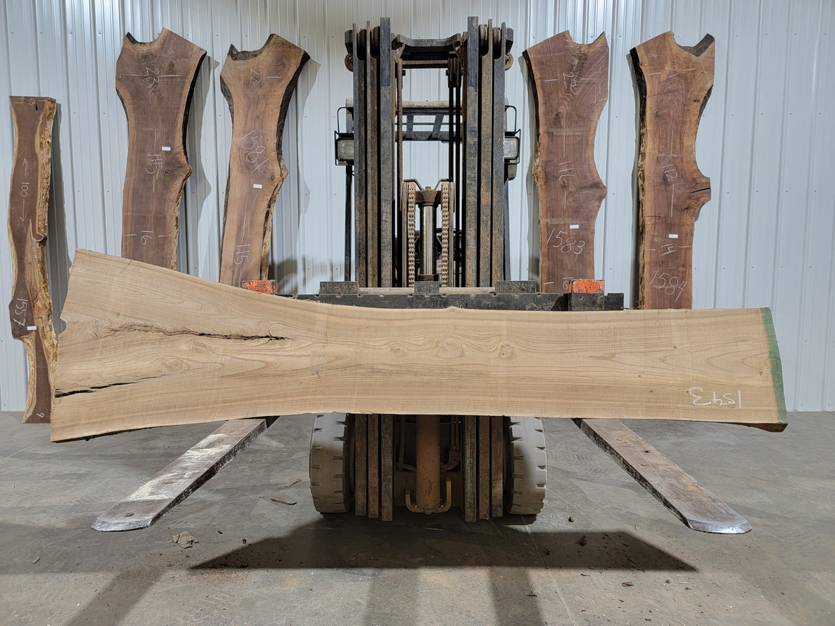 Siberian Elm (1543) 102” L x 12-27” W x 2.5” T