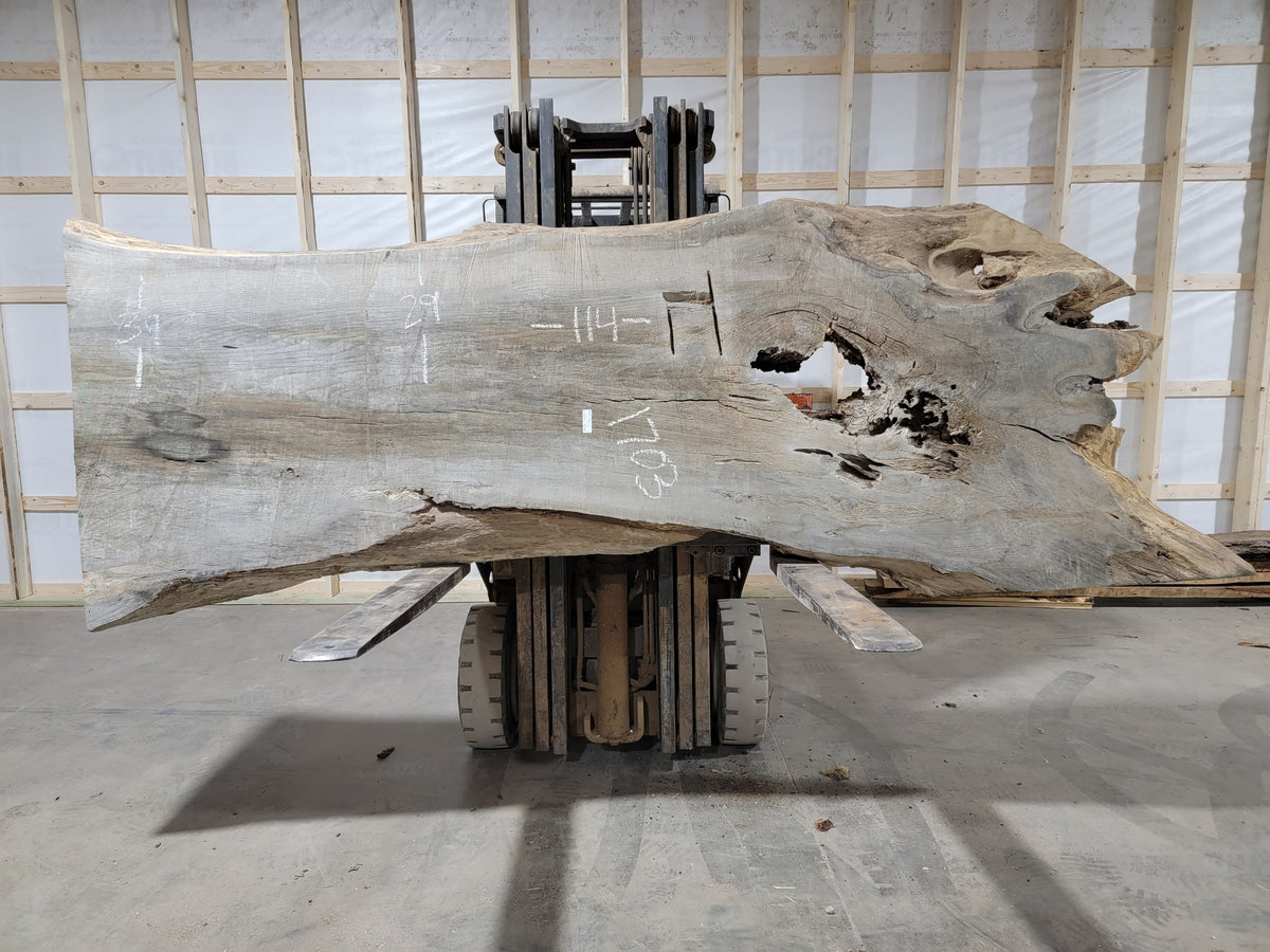 Red Oak (1703) 114” L x 29-39” W x 3” T