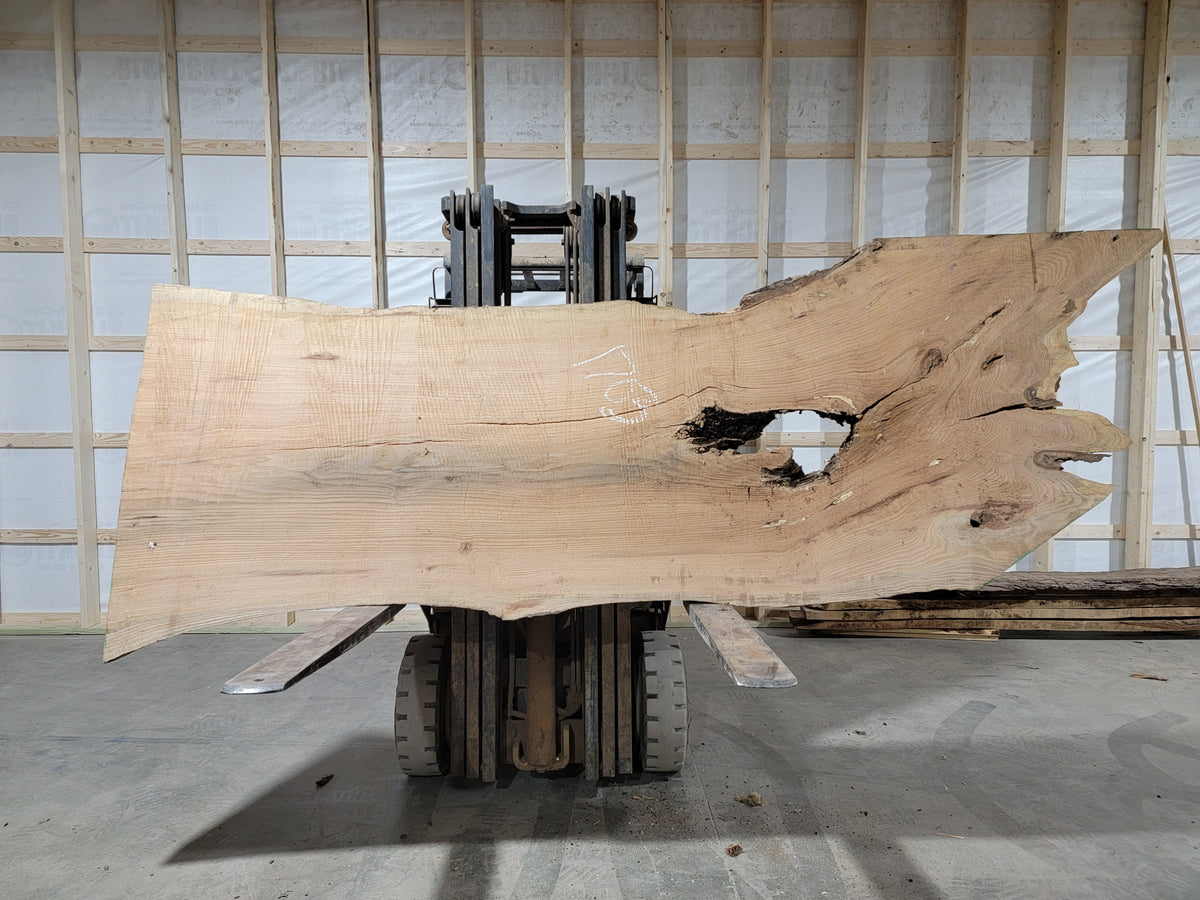 Red Oak (1703) 114” L x 29-39” W x 3” T