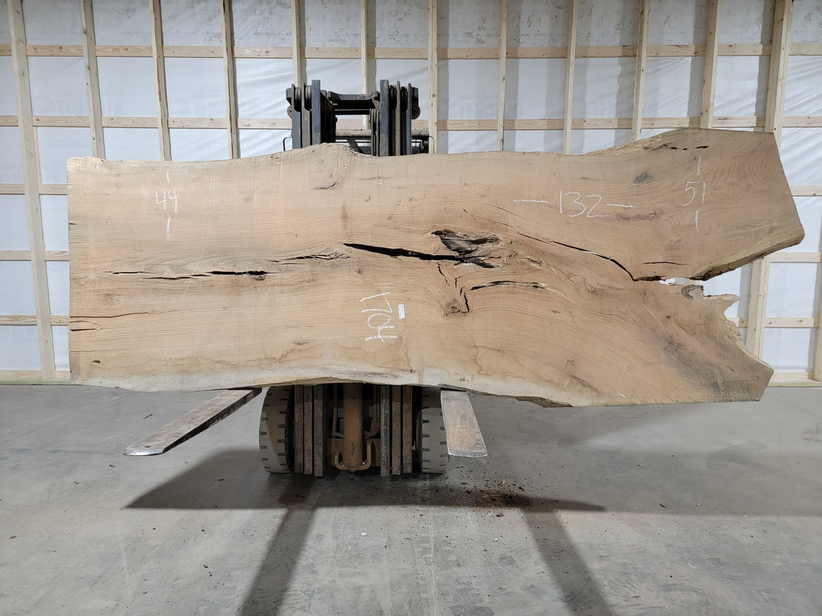 Red Oak (1704) 132” L x 44-51” W x 3” T