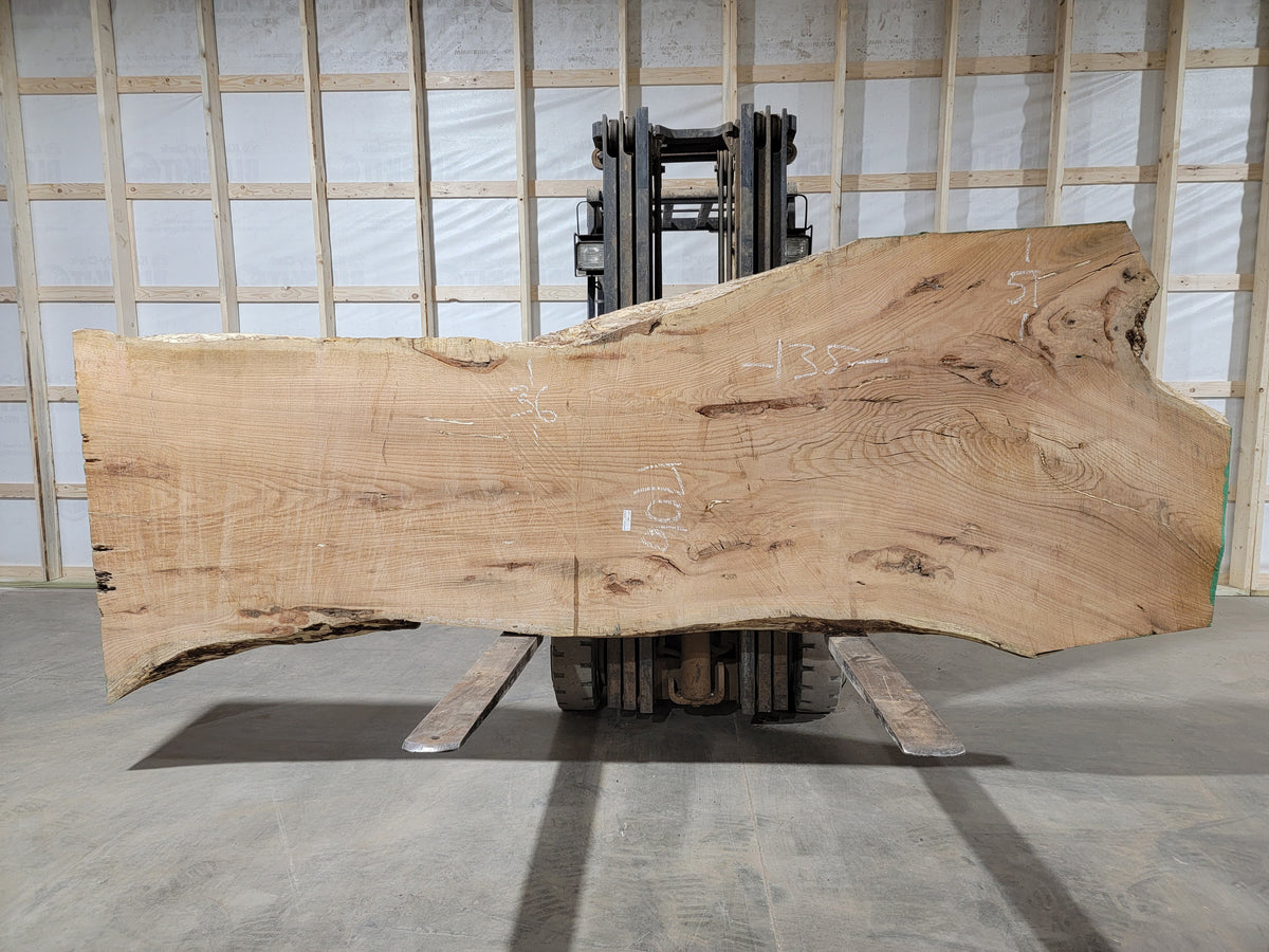 Red Oak (1706) 135” L x 36-51” W x 3” T