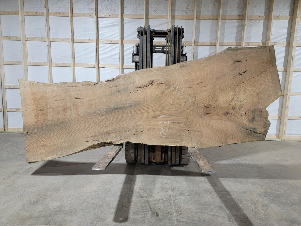 Red Oak (1706) 135” L x 36-51” W x 3” T