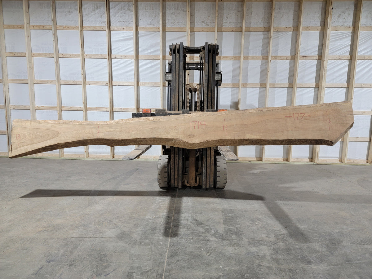 Pecan (1714) 177” L x 7-18” W x 2.5” T