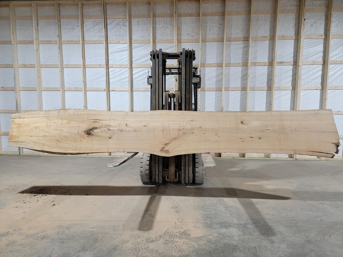 Pecan (1717) 179” L x 23-27” W x 3.5” T