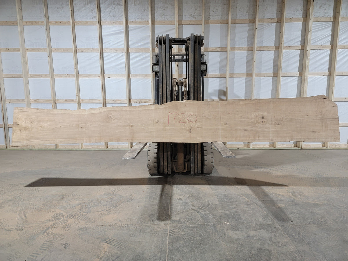 Pecan (1720) 174” L x 13-22” W x 3” T
