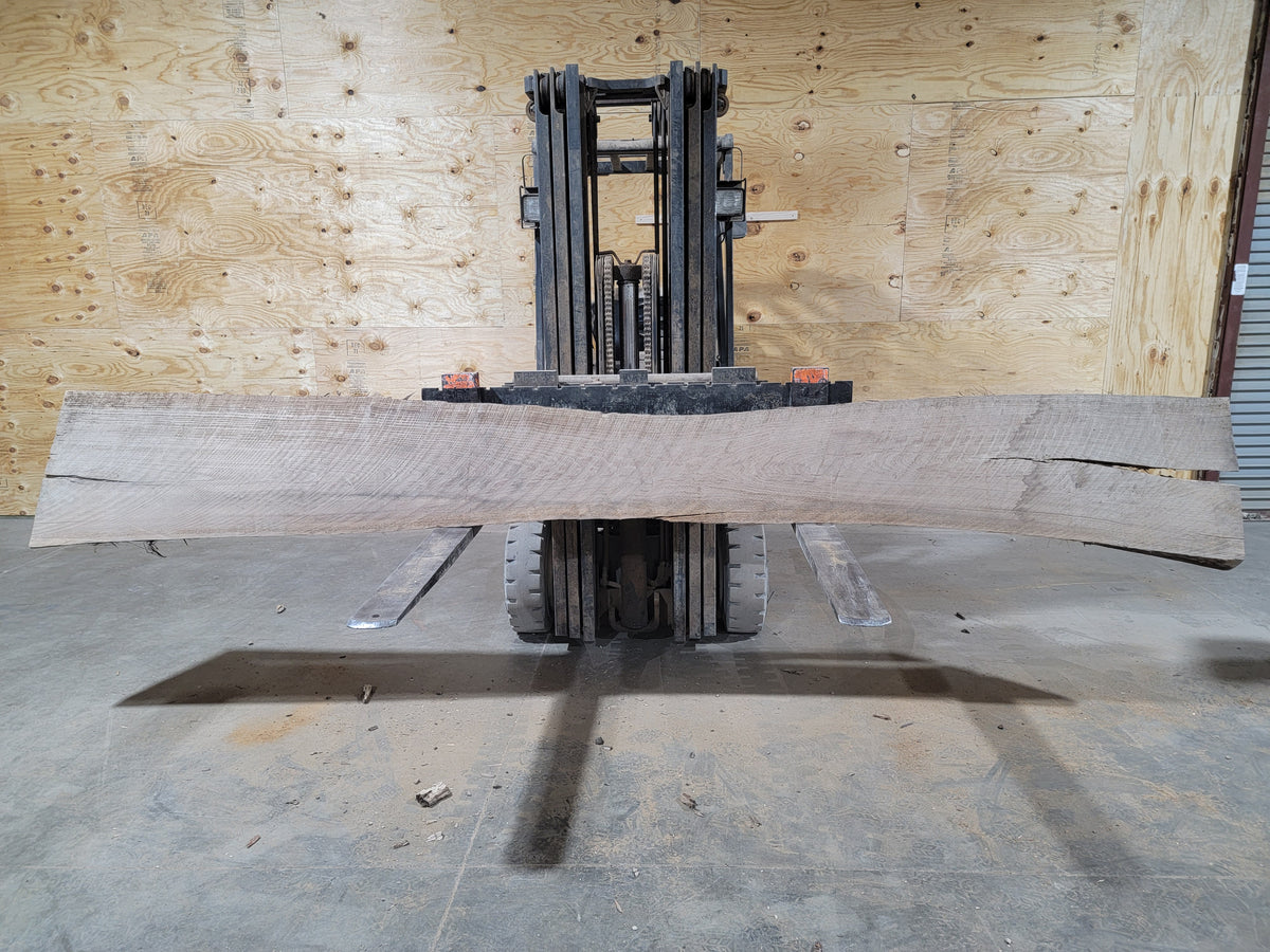 Black Walnut (1762) 156” L x 10-21” W x 3” T