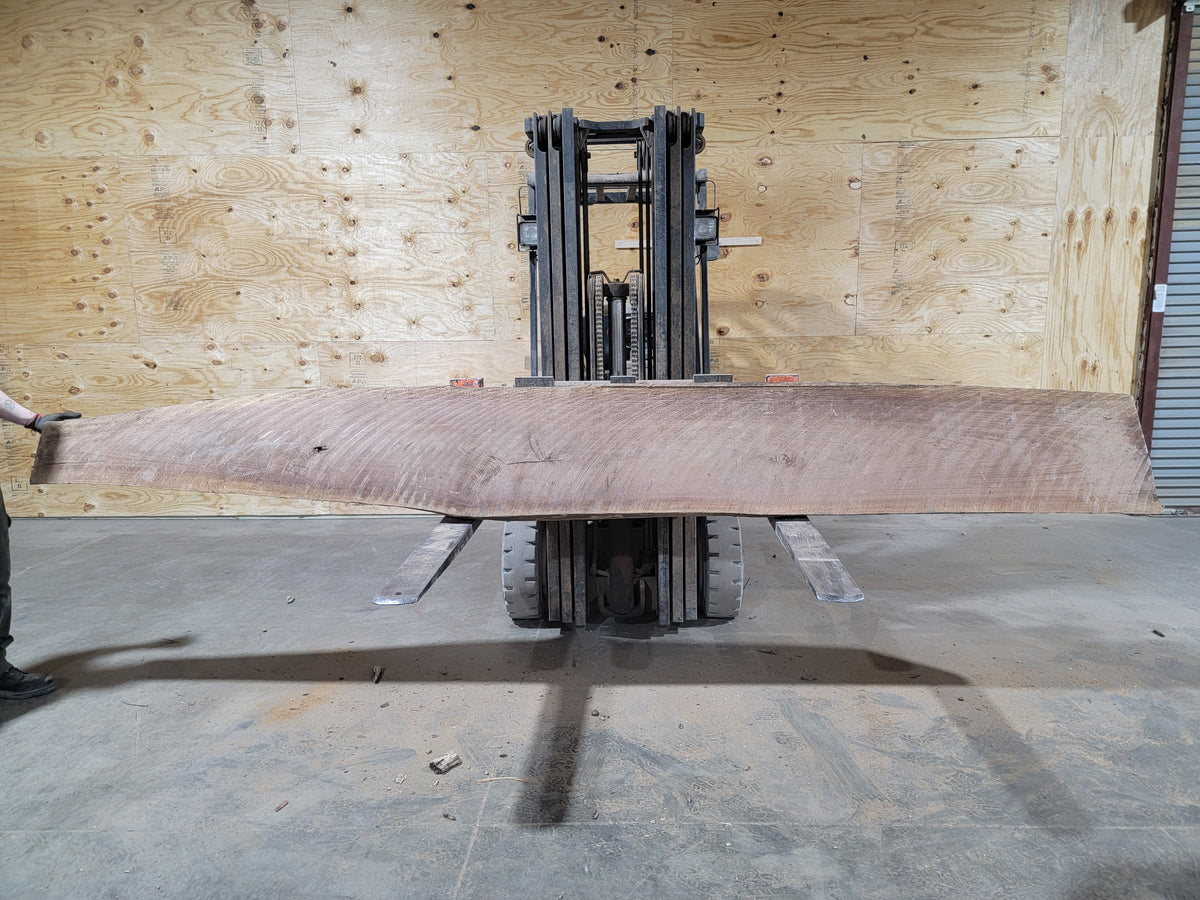 Black Walnut (1765) 158” L x 10-19” W x 3” T