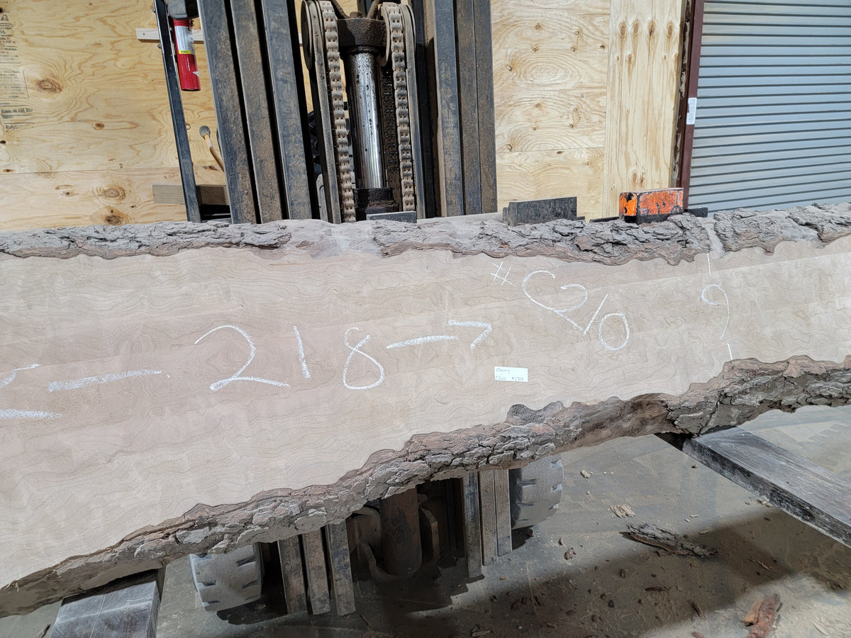 Cherry (C209) 218” L x 9 - 20" W x 3” T