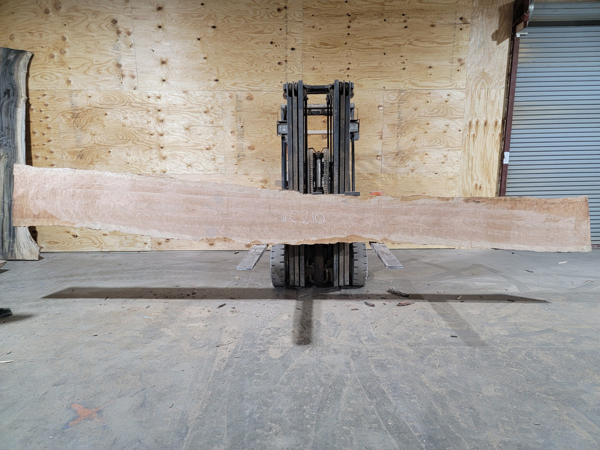 Cherry (C209) 218” L x 9 - 20" W x 3” T