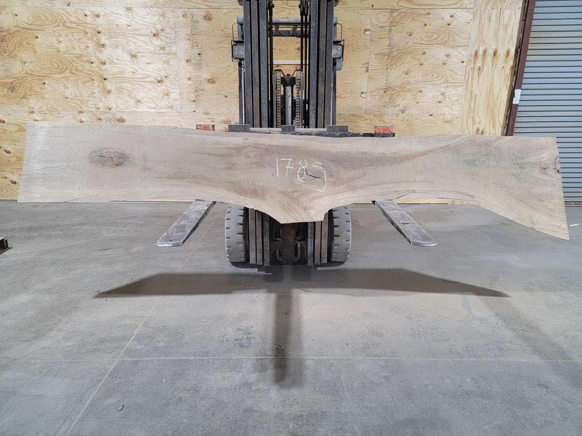 Sycamore (1785) 143” L X 12-25” W X 2.25” T