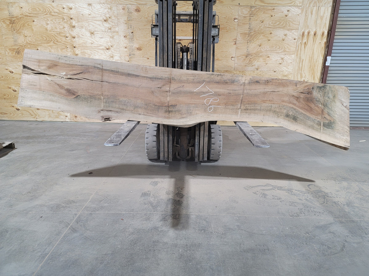 Sycamore (1786) 145” L X 20-27” W X 2.25” T
