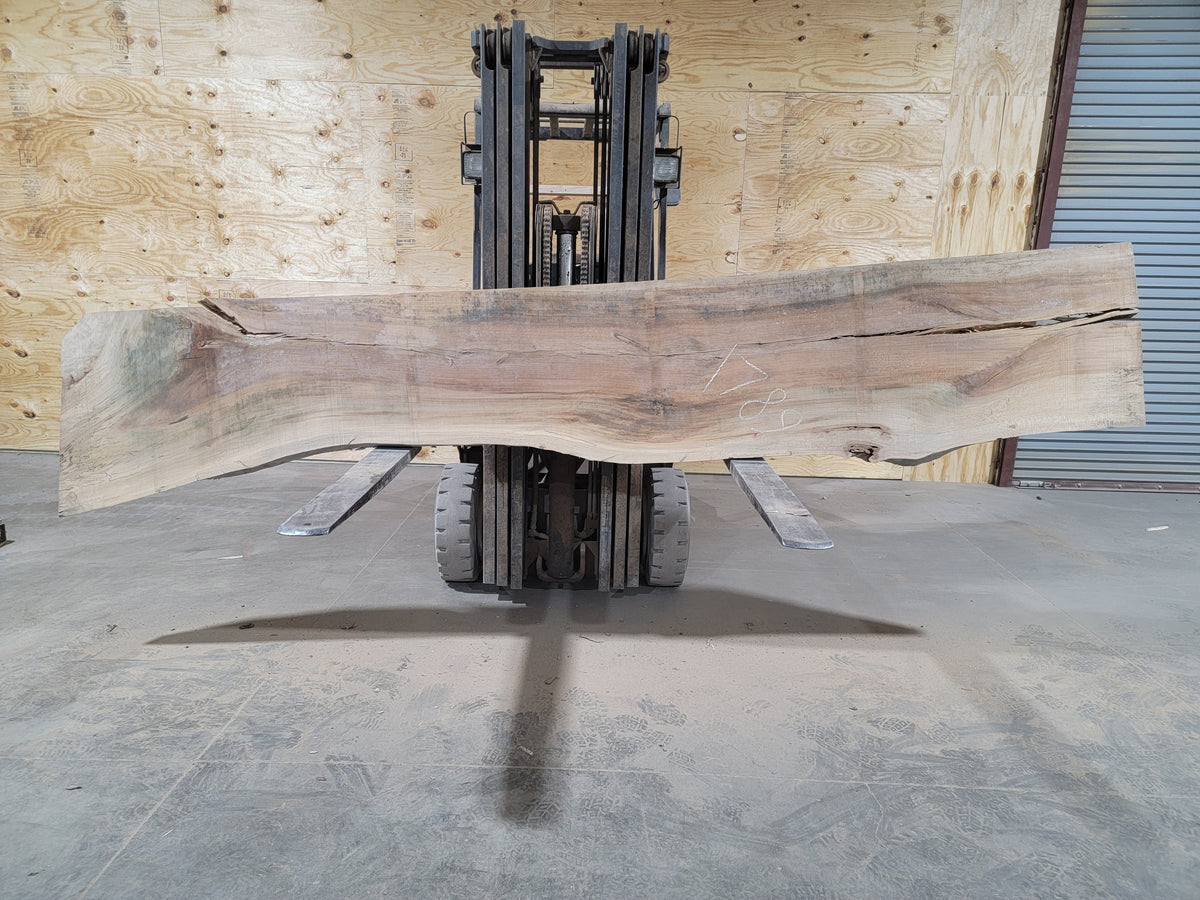 Sycamore (1789) 145” L X 20-27” W X 2.25” T