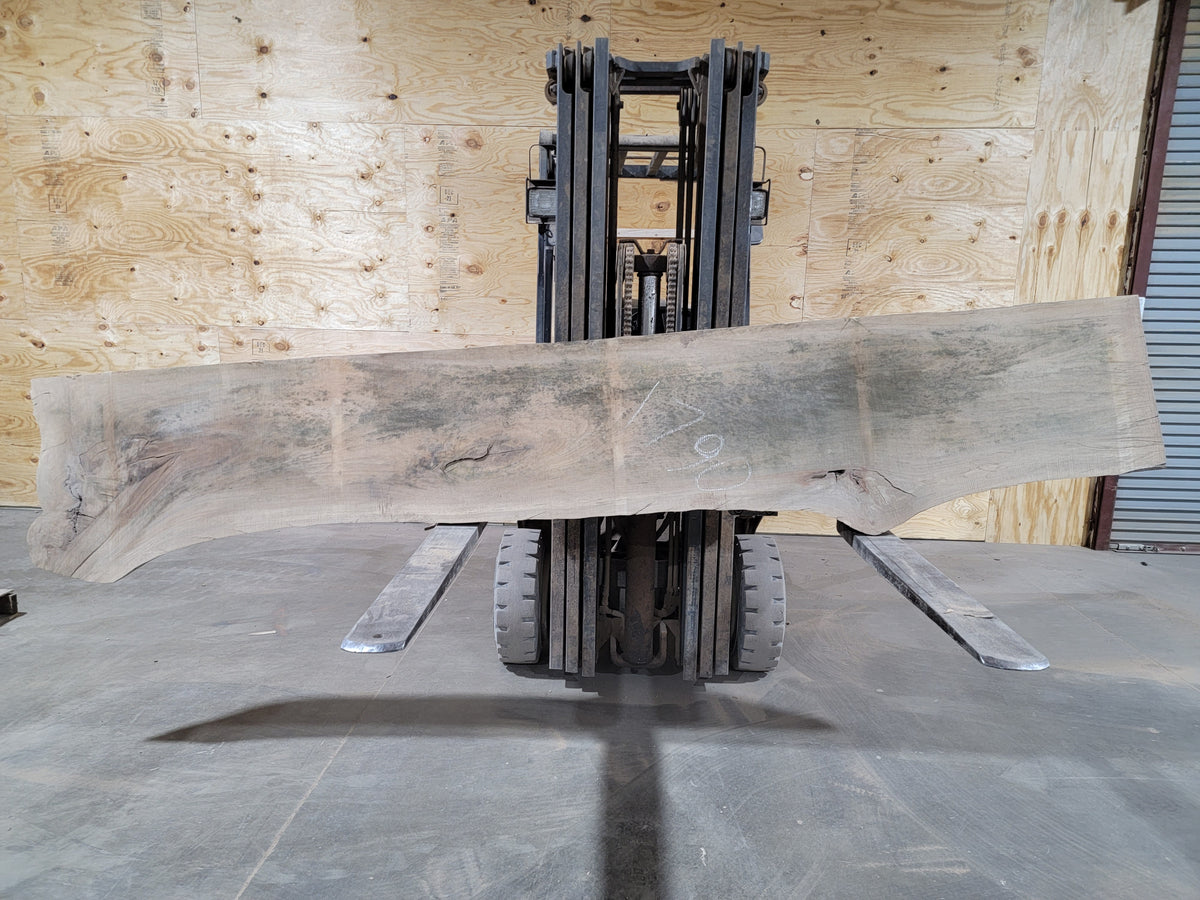 Sycamore (1790) 128” L X 16-19” W X 2.25” T