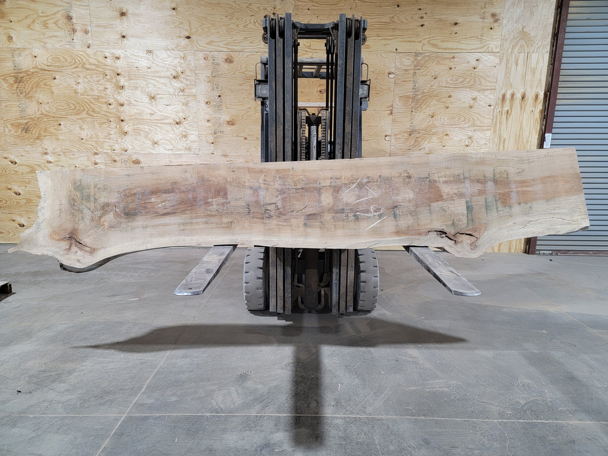 Sycamore (1791) 130” L X 20-25” W X 2.5” T