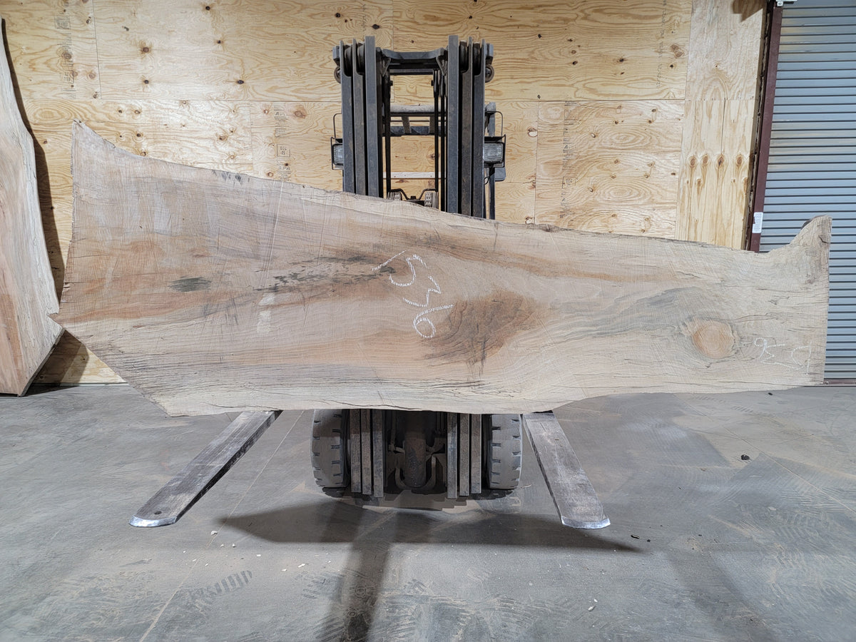 Sycamore (1536) 108” L X 13-38” W X 3” T