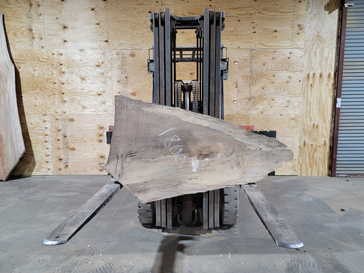 Sycamore (1800) 32” L X 18-29” W X 3” T