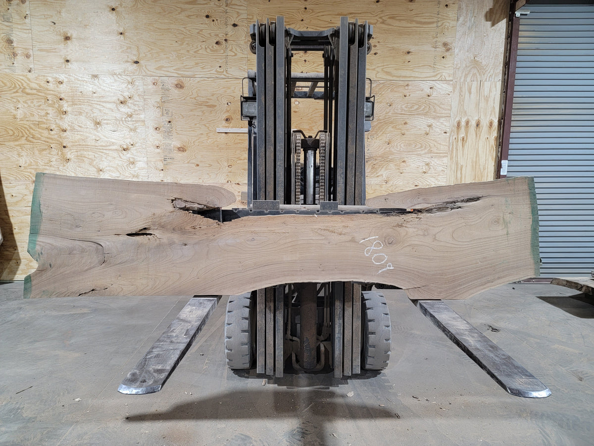 Siberian Elm (1809) 101” L X 10-23” W X 2.5” T