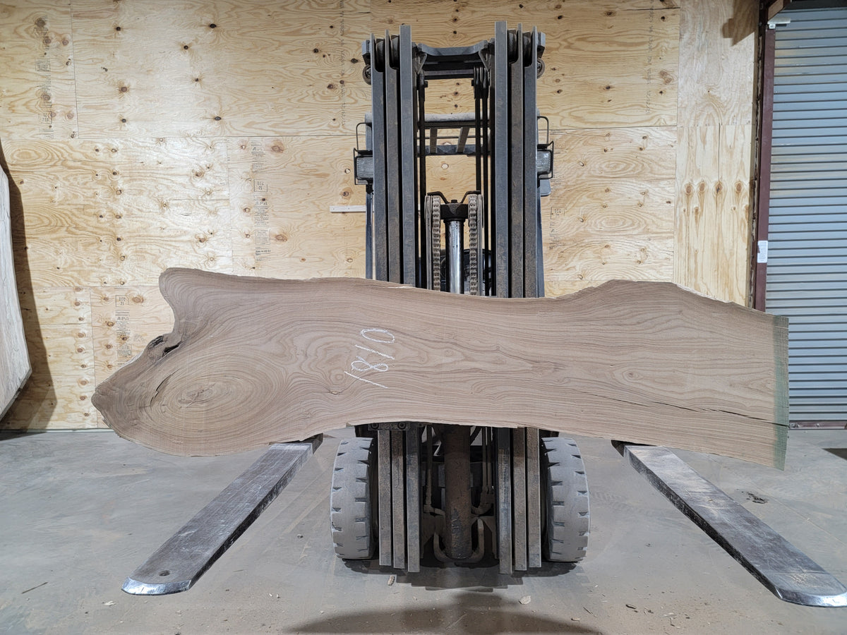 Siberian Elm (1810) 80” L X 11-20” W X 2.5” T