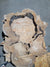 Spalted Sugar Maple Crosscut (1867)  61” L X 36-47” W X 4.75” T