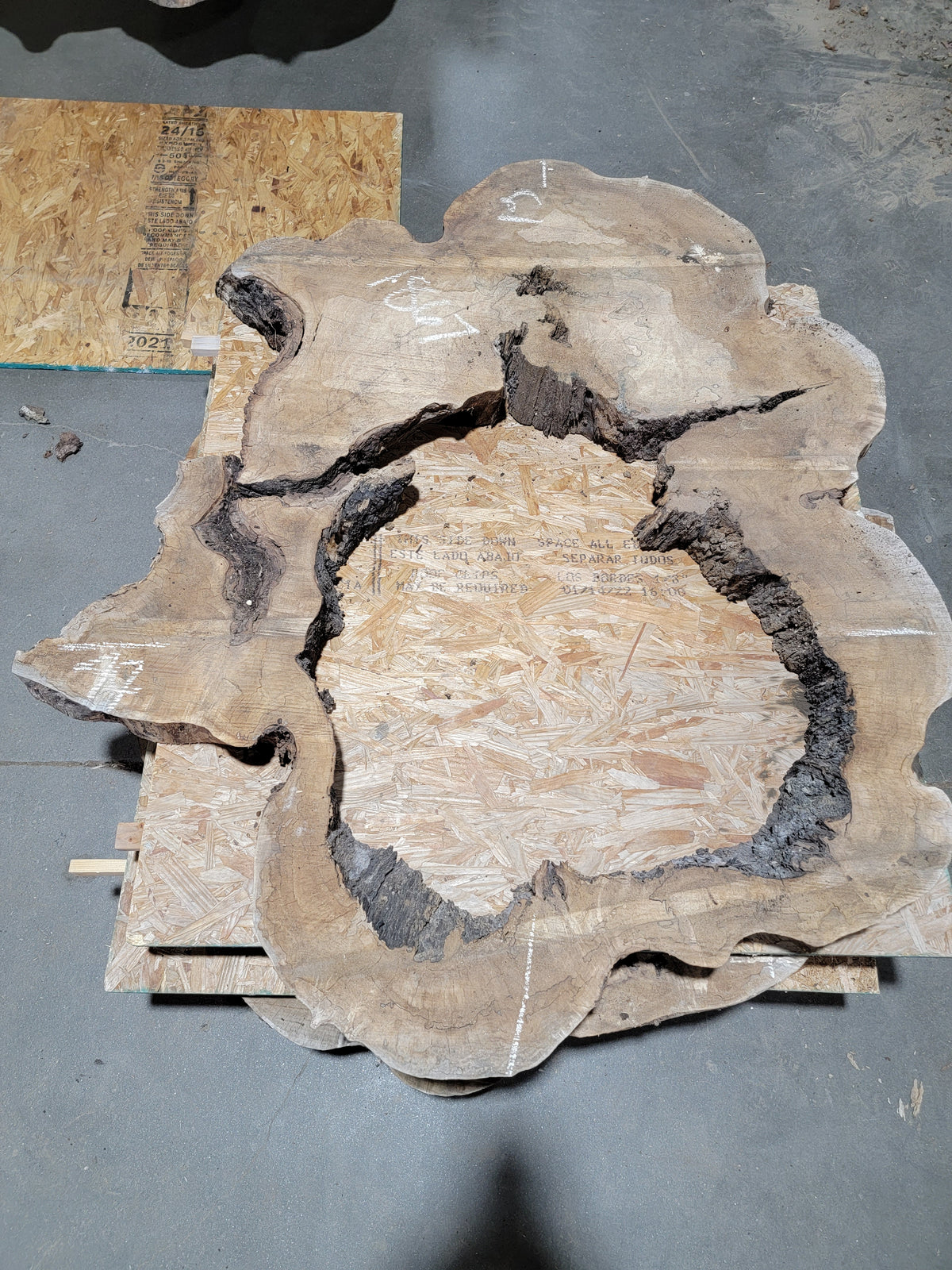 Spalted Sugar Maple Crosscut (1867)  61” L X 36-47” W X 4.75” T