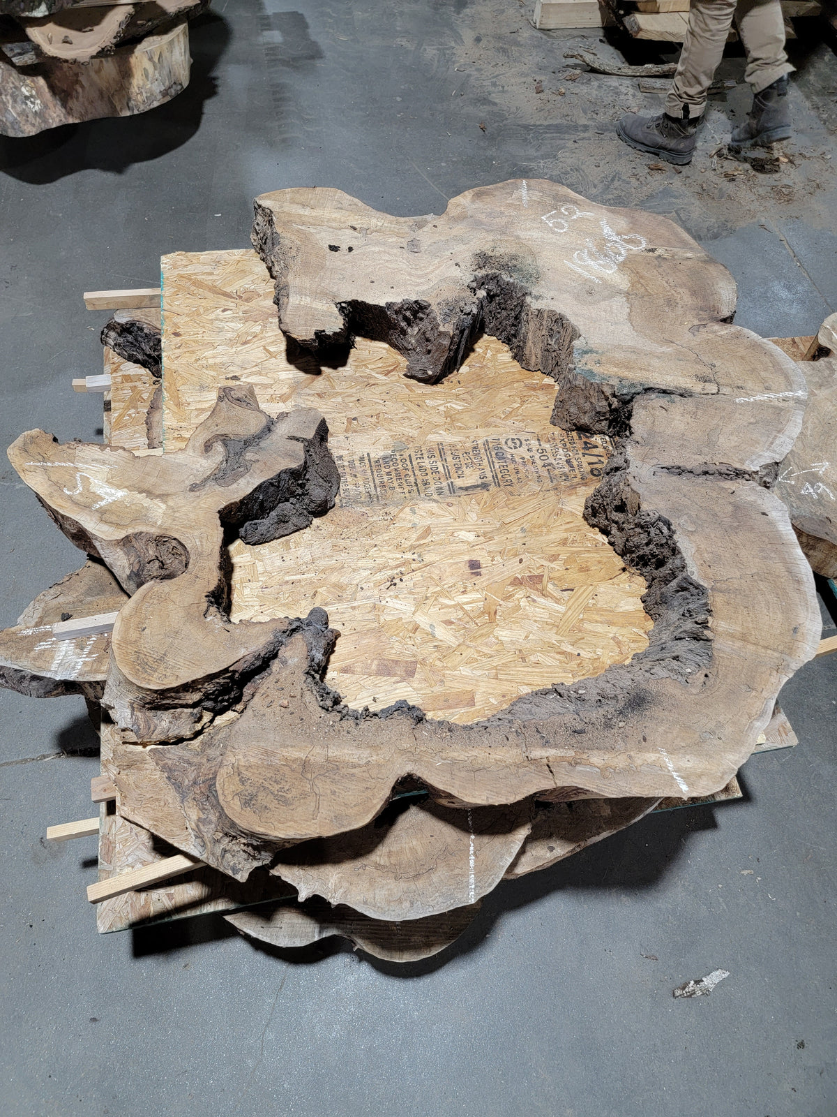 Spalted Sugar Maple Crosscut (1868)  54” L X 52” W X 4.5” T