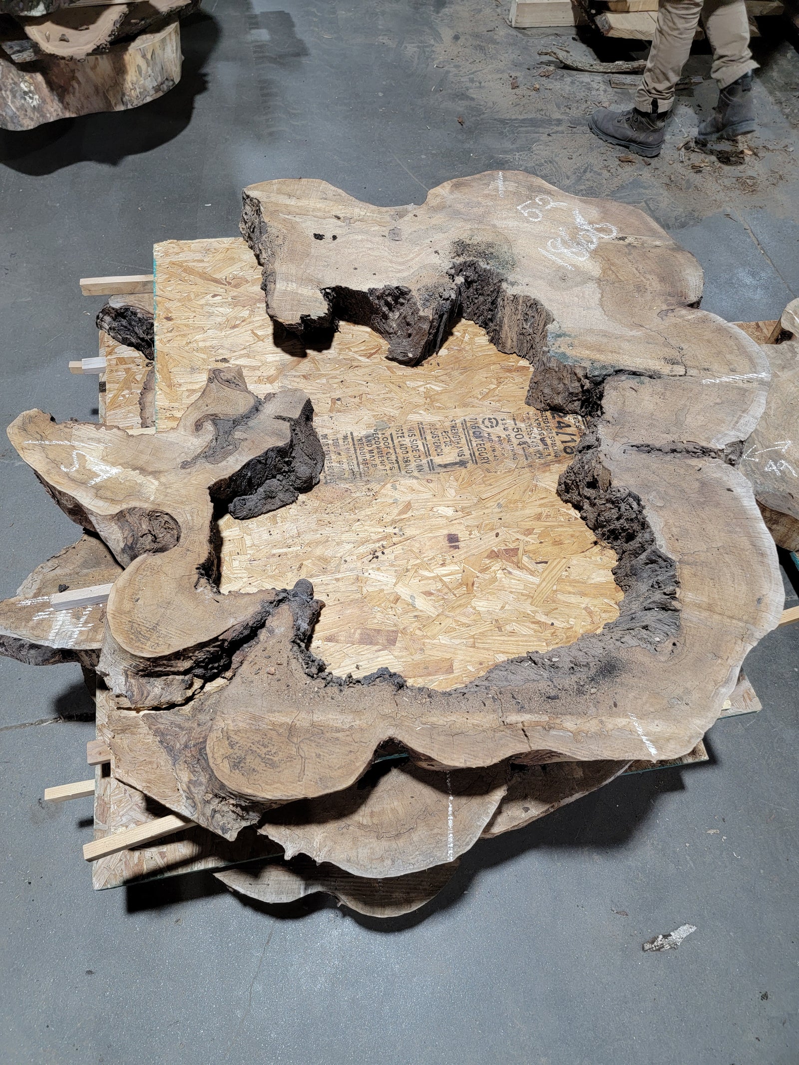 Spalted Sugar Maple Crosscut (1868)  54” L X 52” W X 4.5” T