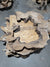 Spalted Sugar Maple Crosscut (1868)  54” L X 52” W X 4.5” T