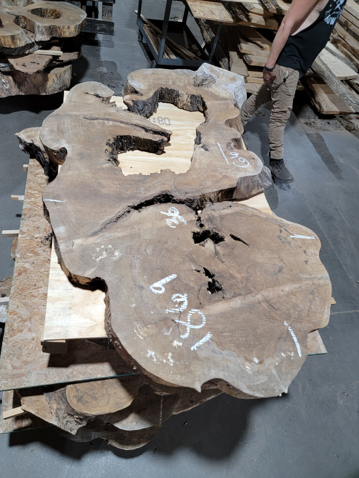 Spalted Sugar Maple Crosscut (1869)  66” L X 28-36” W X 3” T