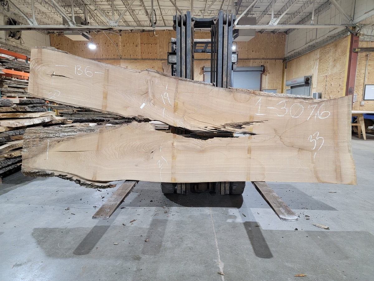 Siberian Elm (3076) 135" L x 33-50" W x 2.5" T