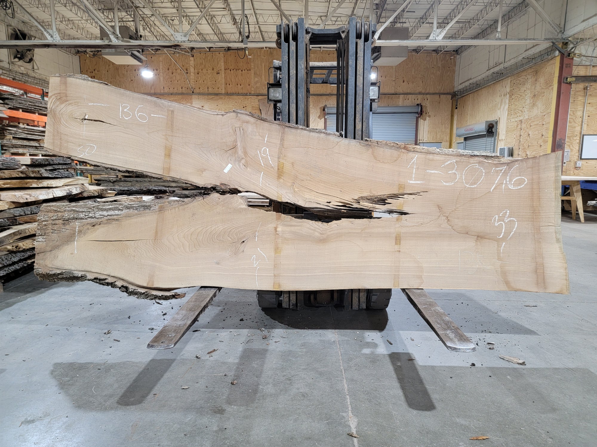 Siberian Elm (3076) 135" L x 33-50" W x 2.5" T