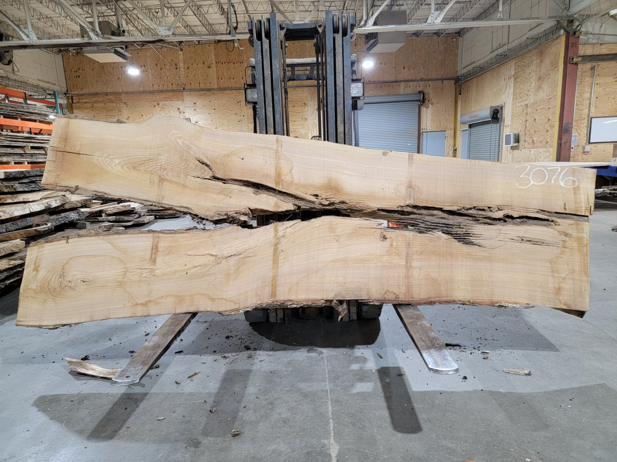 Siberian Elm (3076) 135" L x 33-50" W x 2.5" T