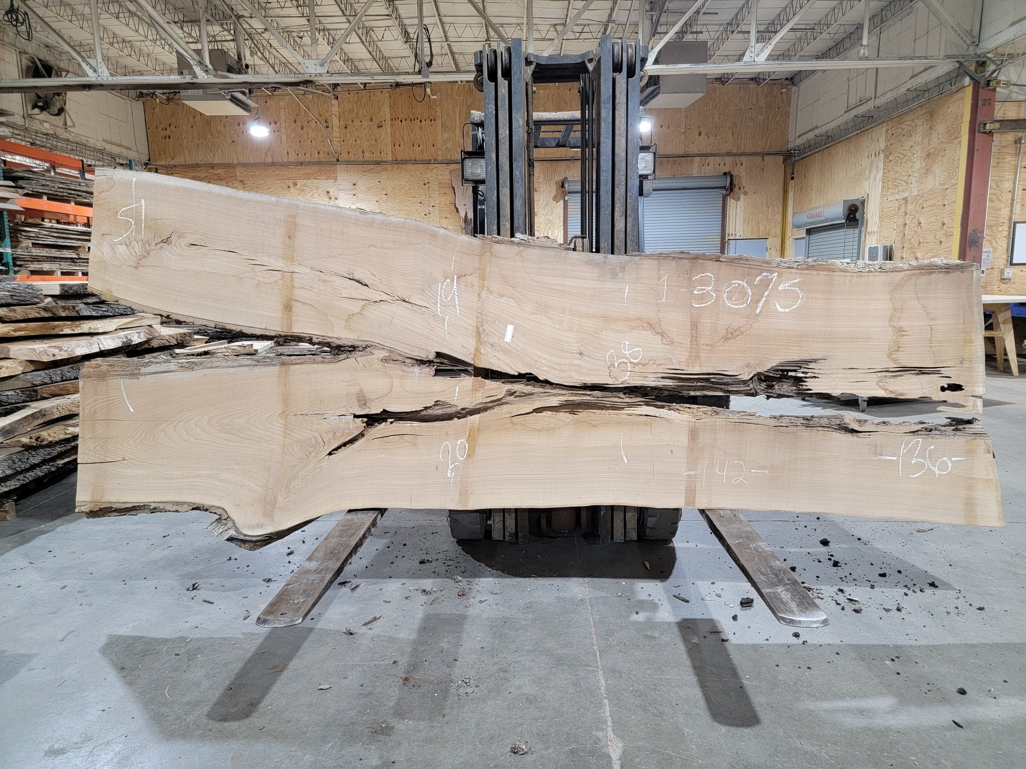 Siberian Elm (3075) 136" L x 38-51" W x 2.5" T