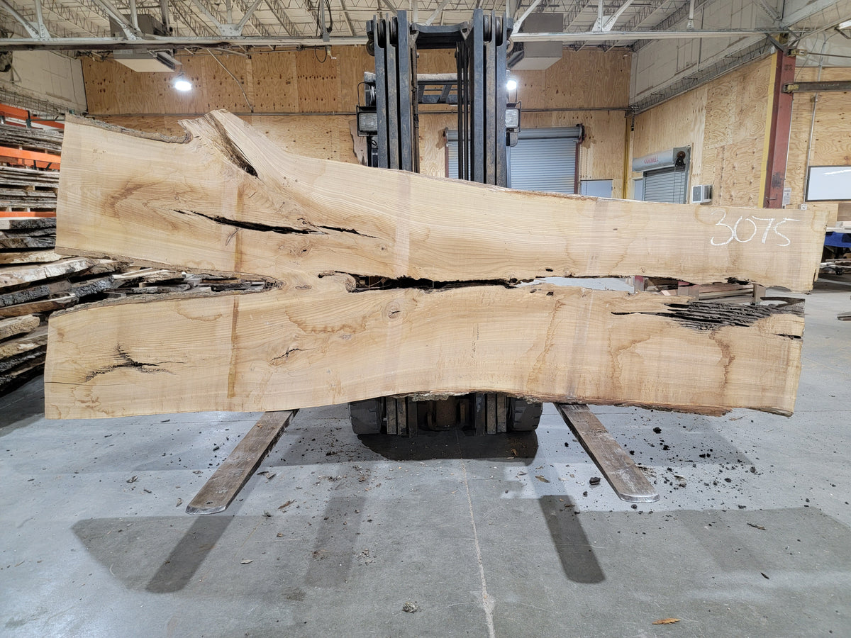 Siberian Elm (3075) 136" L x 38-51" W x 2.5" T