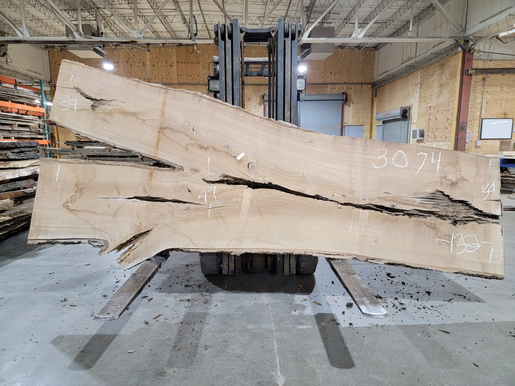 Siberian Elm (3074) 138" L x 34-54" W x 2.5" T