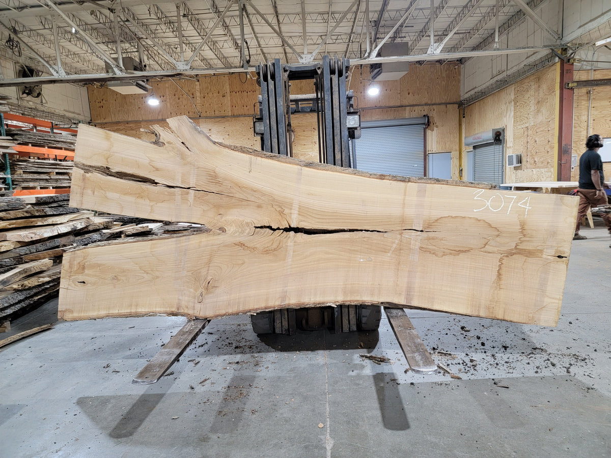 Siberian Elm (3074) 138" L x 34-54" W x 2.5" T