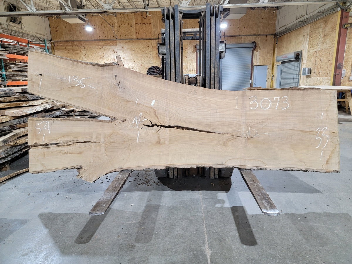 Siberian Elm (3073) 135" L x 33-54" W x 2.5" T