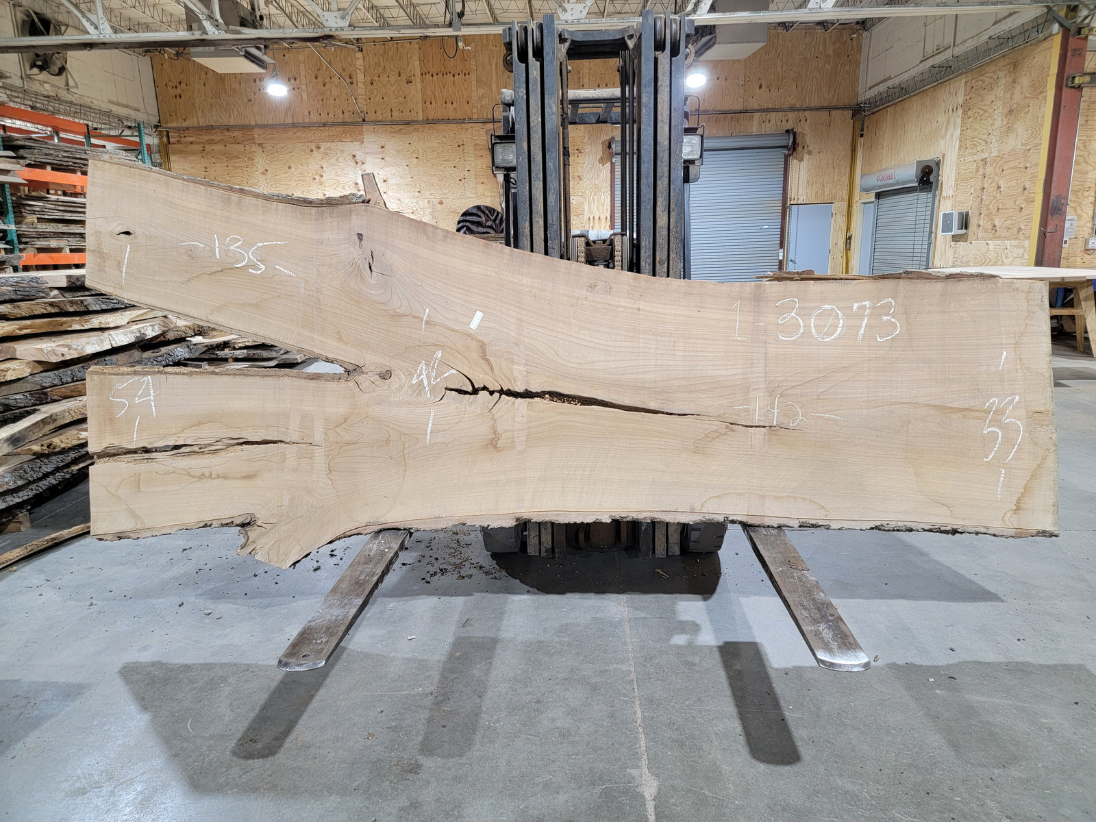 Siberian Elm (3073) 135" L x 33-54" W x 2.5" T