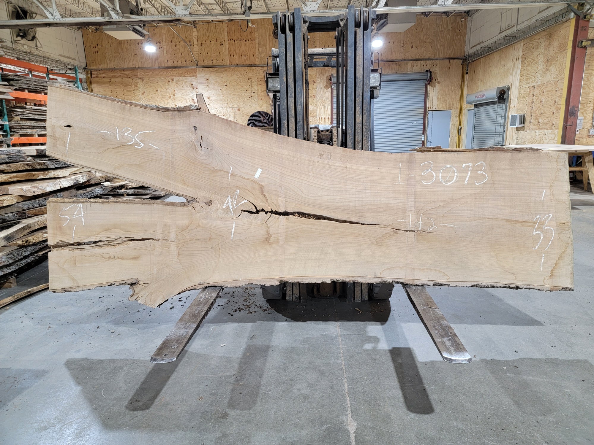 Siberian Elm (3073) 135" L x 33-54" W x 2.5" T