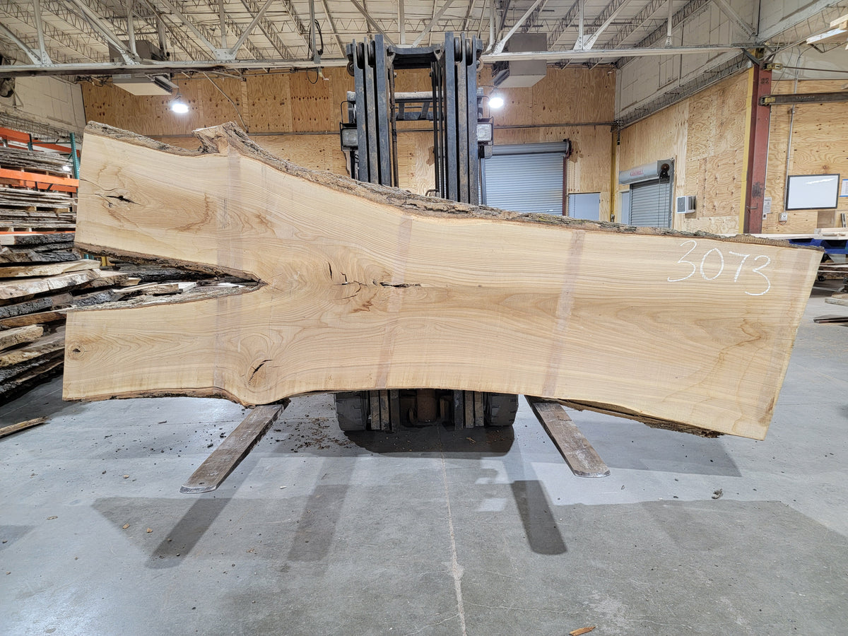 Siberian Elm (3073) 135" L x 33-54" W x 2.5" T