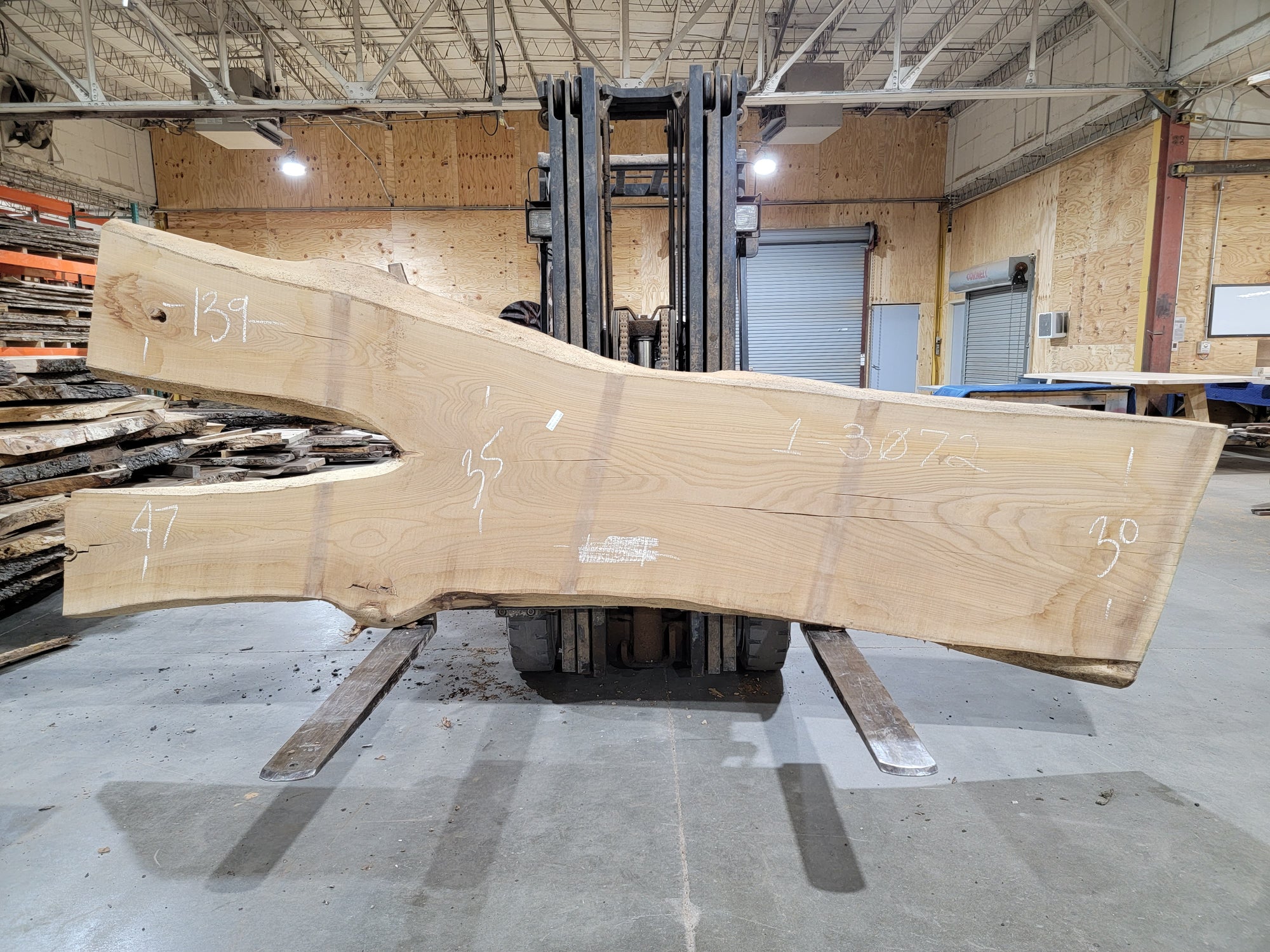 Siberian Elm (3072) 139" L x 30-47" W x 2.5" T