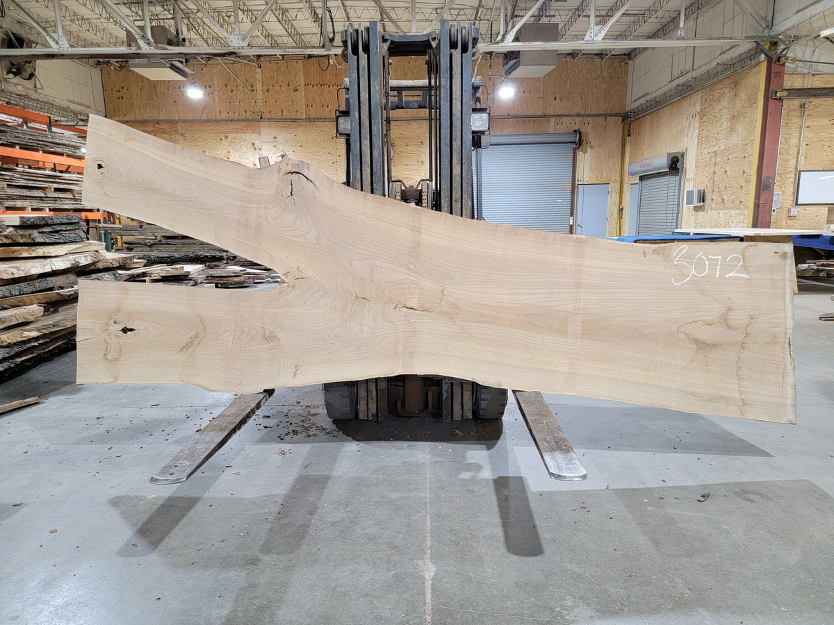 Siberian Elm (3072) 139" L x 30-47" W x 2.5" T
