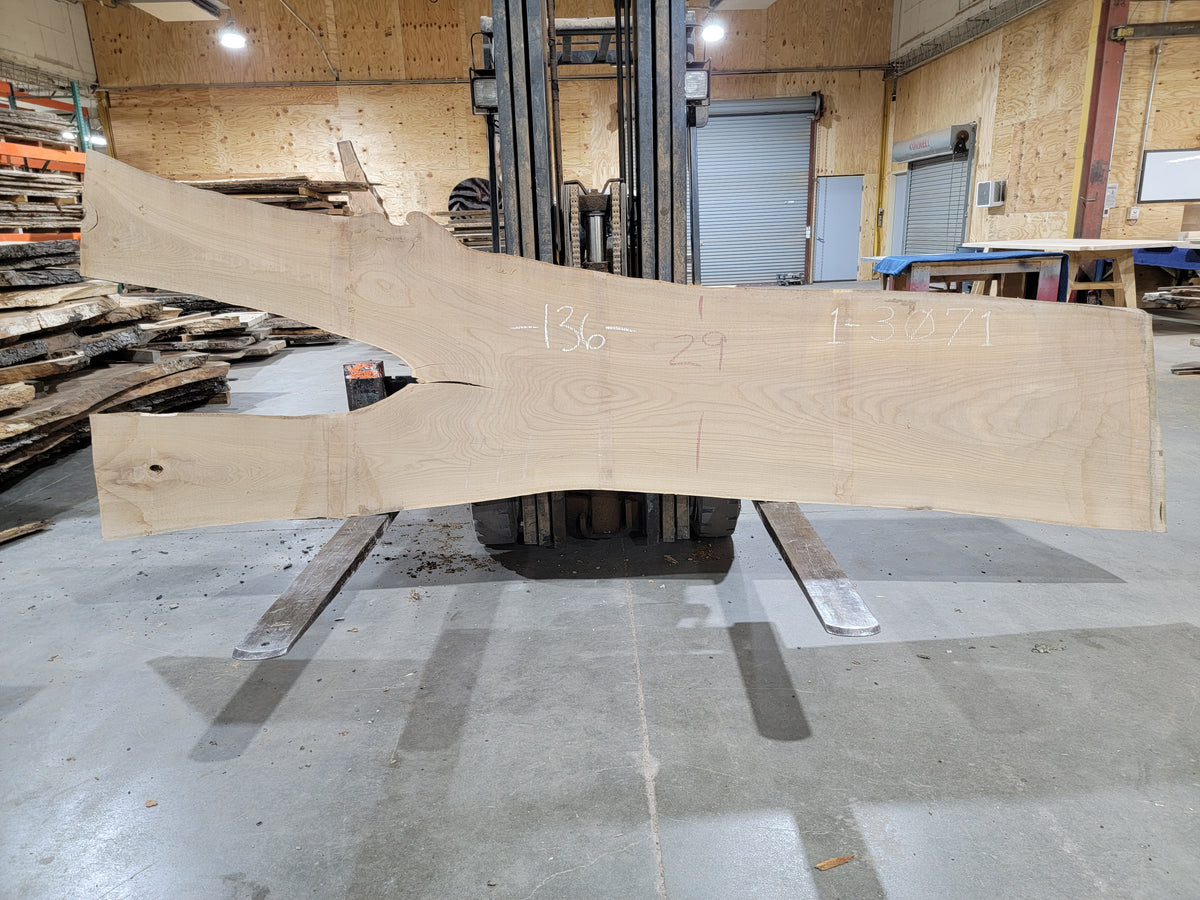 Siberian Elm (3071) 136" L x 25-38" W x 2.5" T
