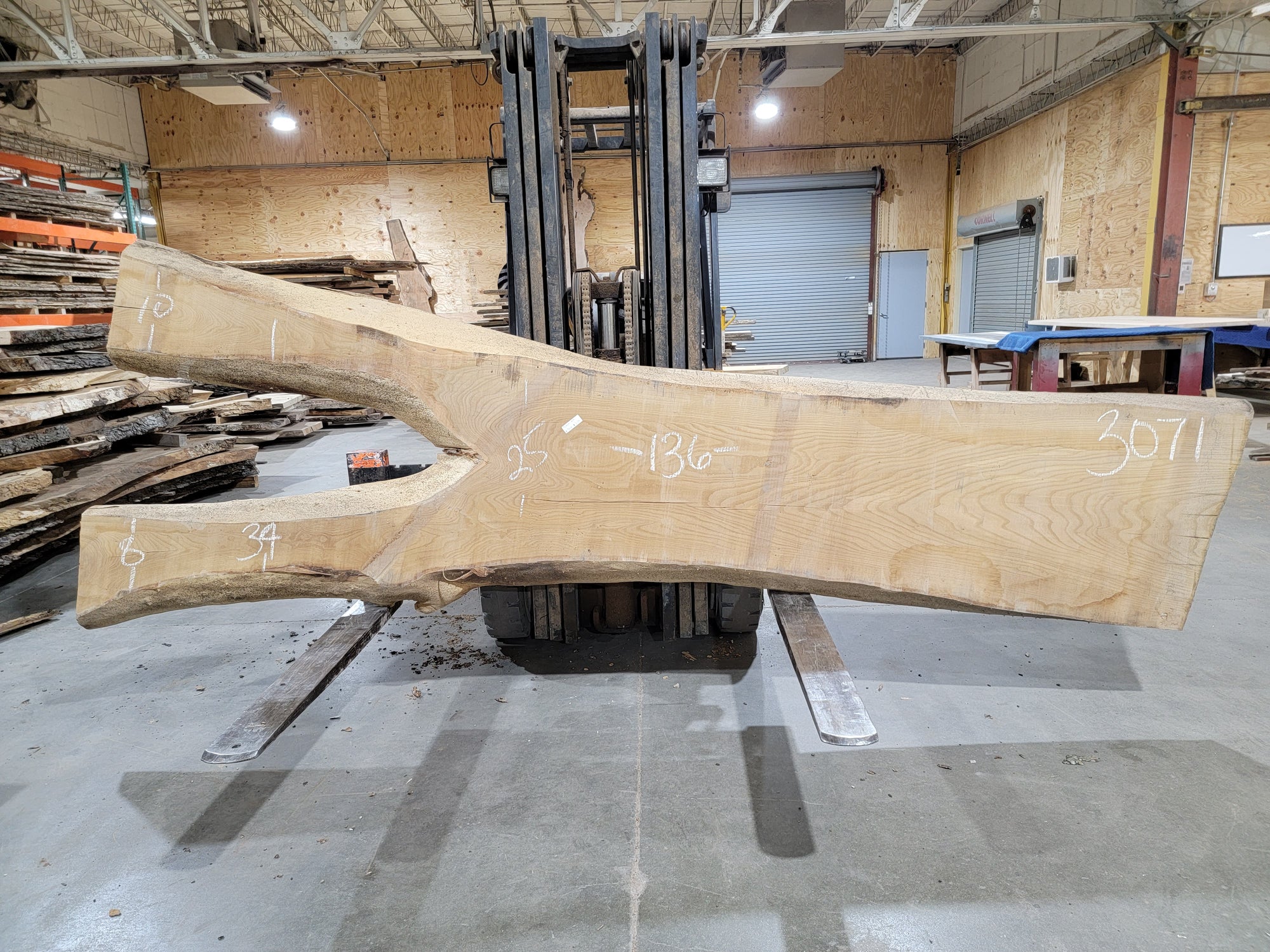 Siberian Elm (3071) 136" L x 25-38" W x 2.5" T