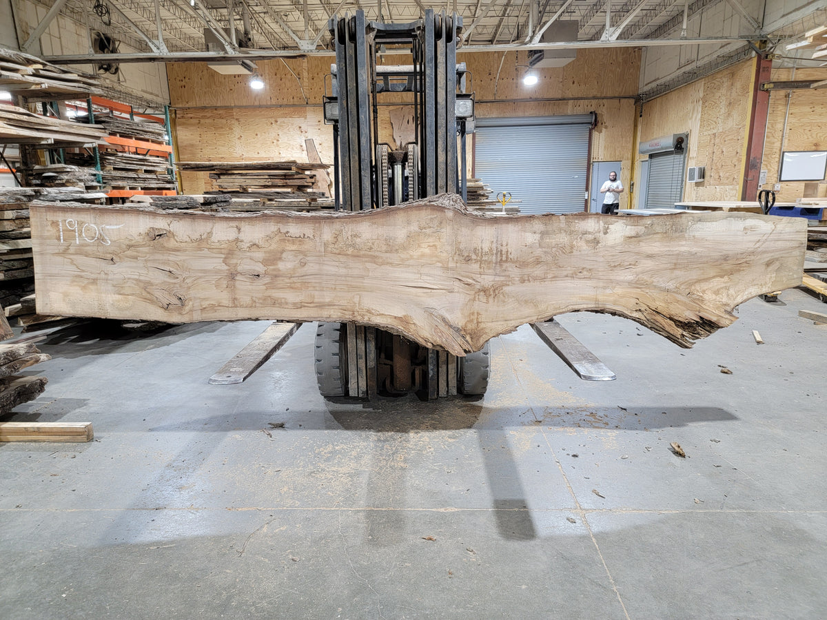 Sweet Gum (1905) 154" L x 23-26" W x 2.25" T