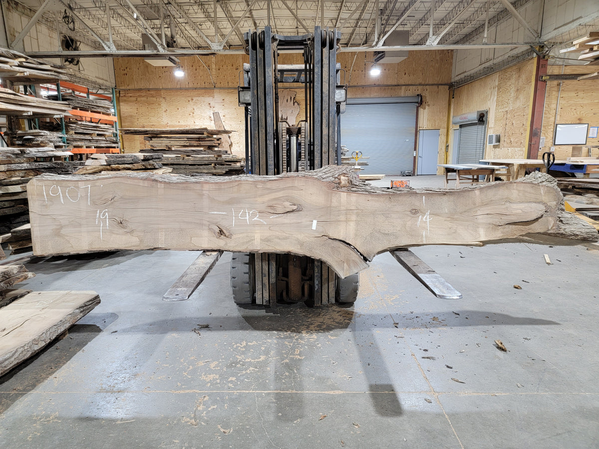 Sweet Gum (1907) 142" L x 14-19" W x 2.25" T