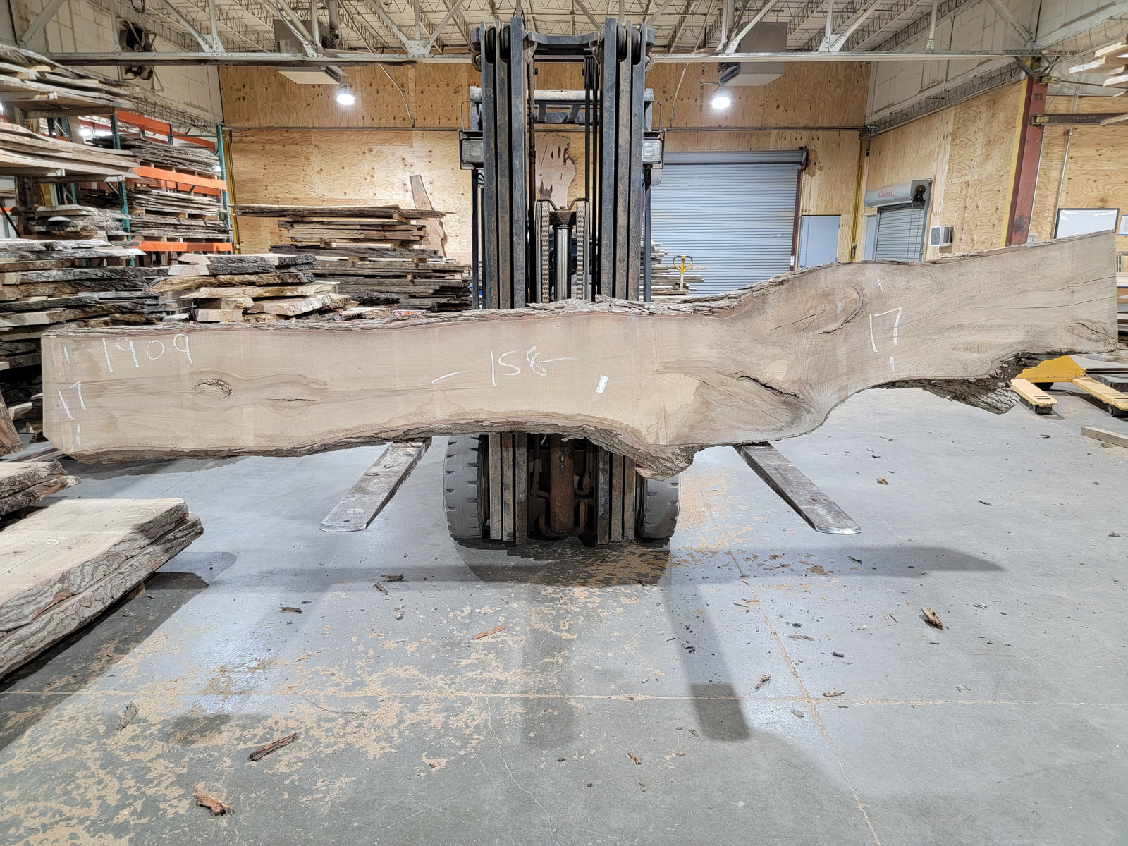 Sweet Gum (1909) 158" L x 17" W x 2.25" T